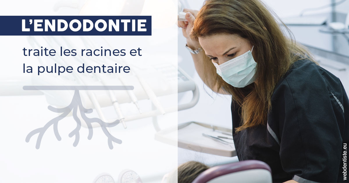 https://www.dentistes-bouaziz.fr/L'endodontie 1