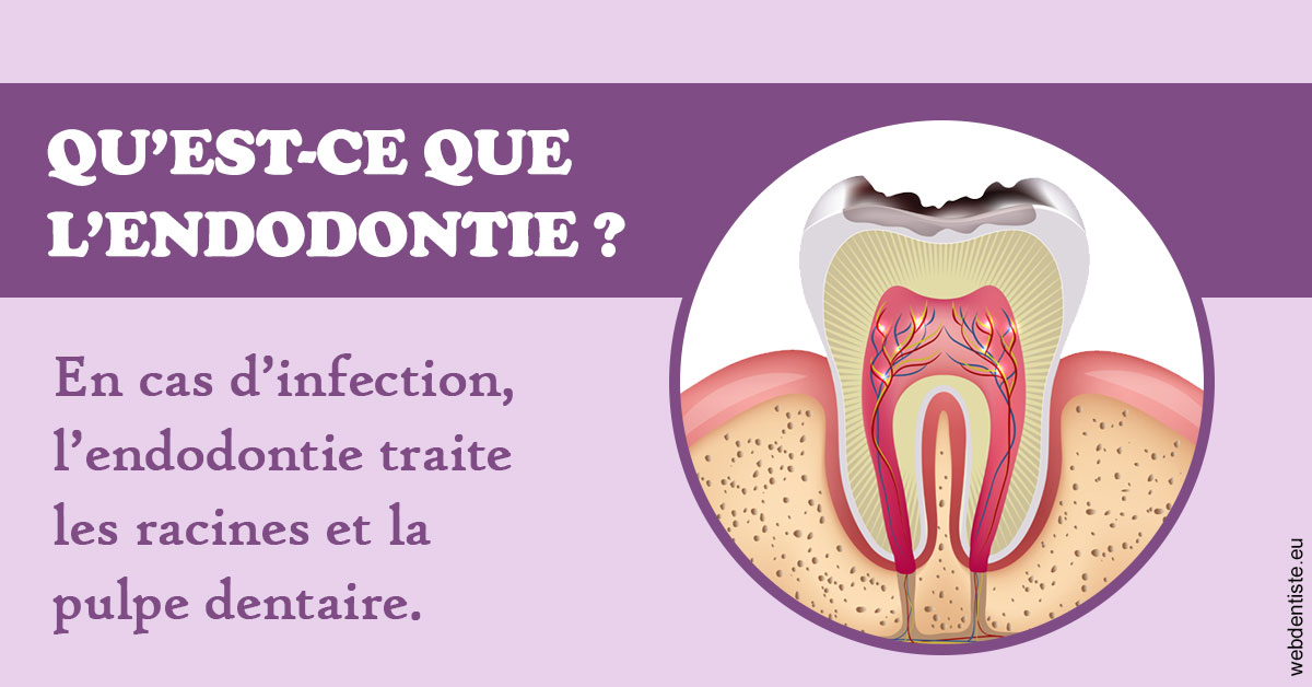 https://www.dentistes-bouaziz.fr/2024 T1 - Endodontie 02