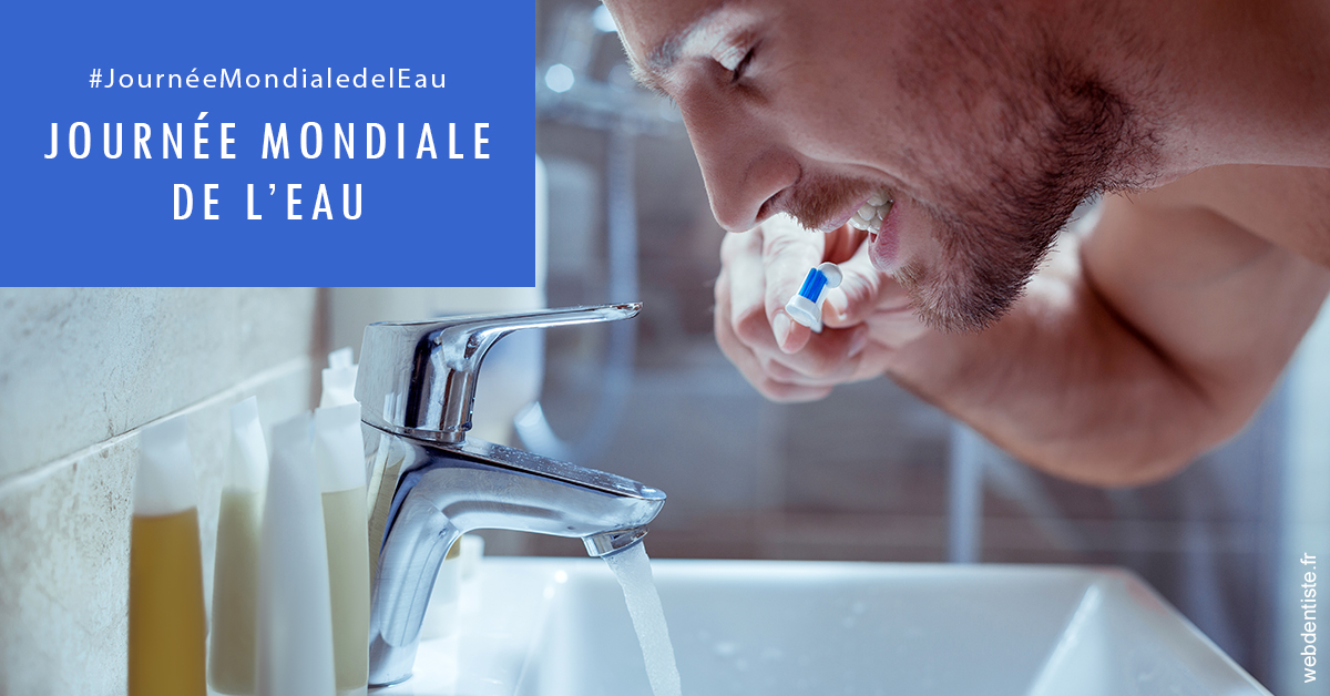 https://www.dentistes-bouaziz.fr/Journée de l'eau 2