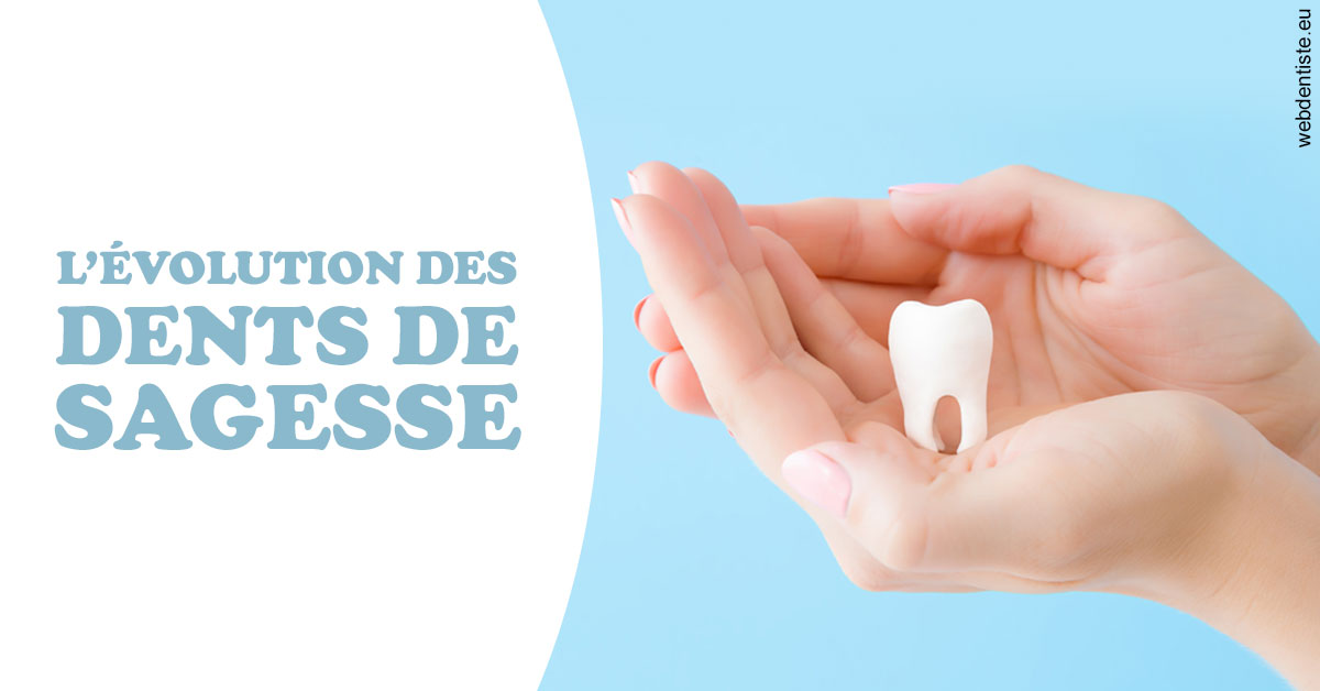 https://www.dentistes-bouaziz.fr/Evolution dents de sagesse 1