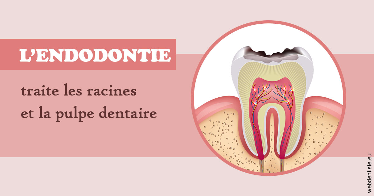 https://www.dentistes-bouaziz.fr/L'endodontie 2