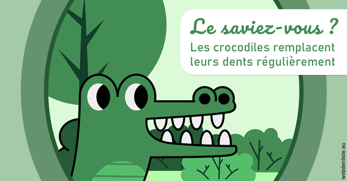 https://www.dentistes-bouaziz.fr/Crocodiles 2