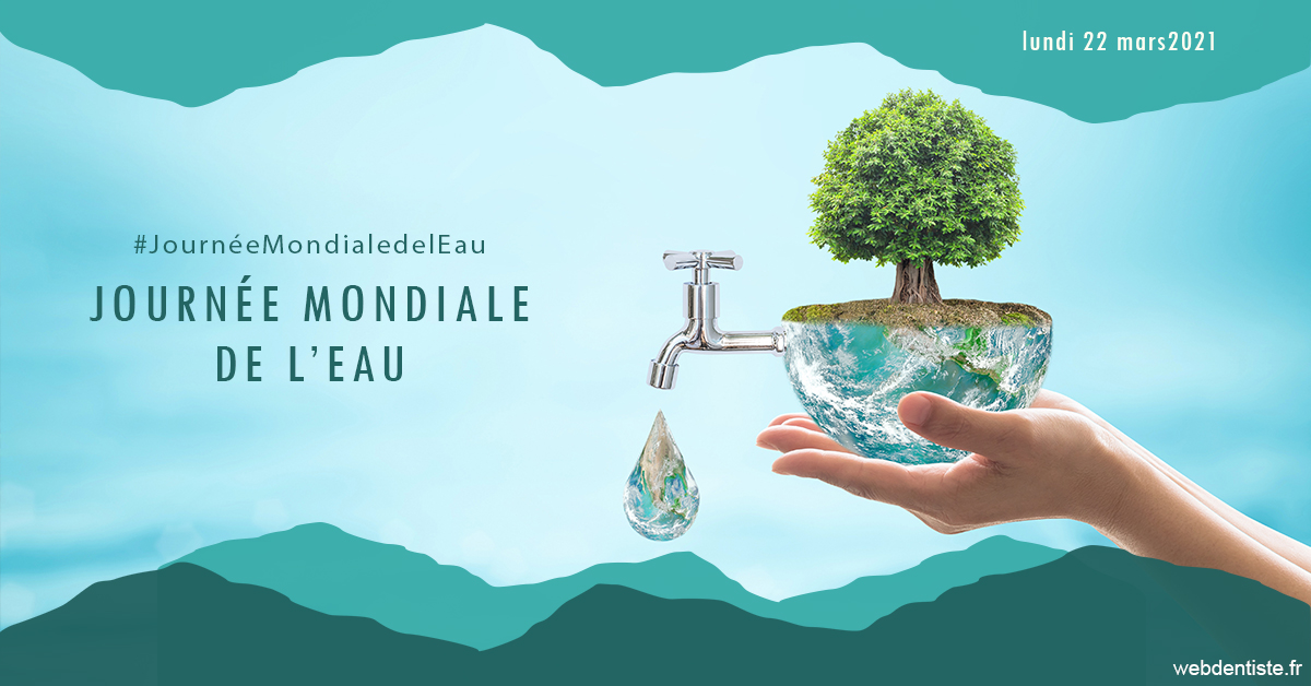 https://www.dentistes-bouaziz.fr/Journée de l'eau 1