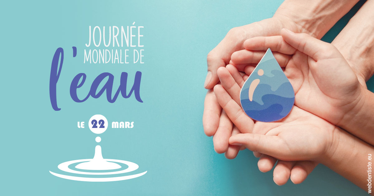 https://www.dentistes-bouaziz.fr/La journée de l'eau 1