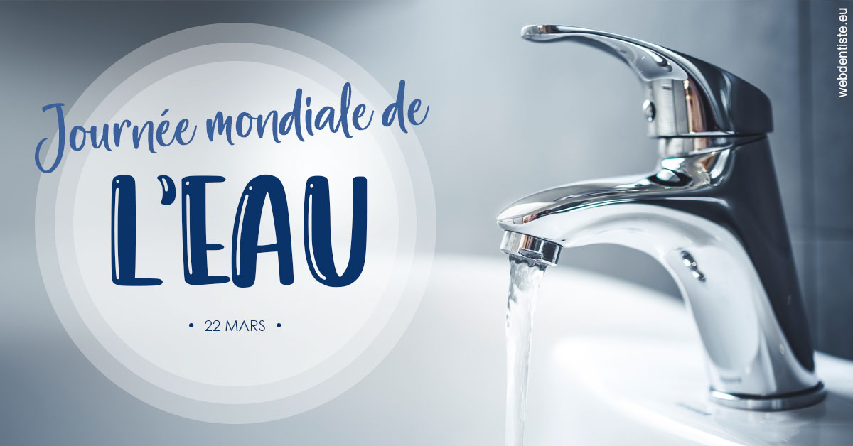 https://www.dentistes-bouaziz.fr/La journée de l'eau 2