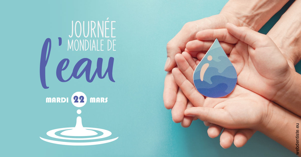 https://www.dentistes-bouaziz.fr/La journée de l'eau 1