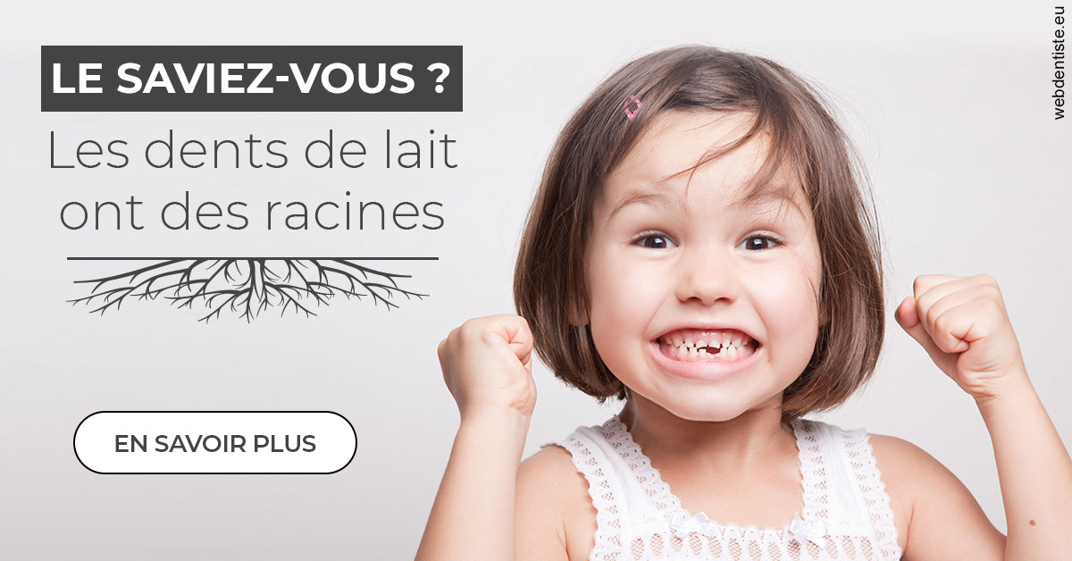 https://www.dentistes-bouaziz.fr/Les dents de lait