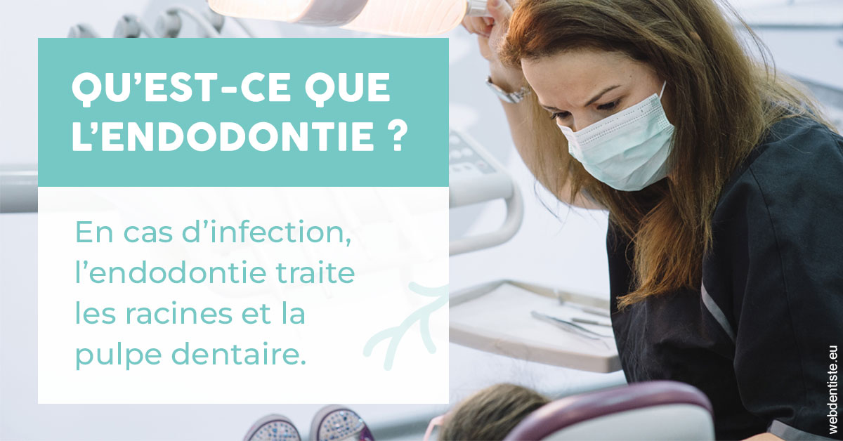 https://www.dentistes-bouaziz.fr/2024 T1 - Endodontie 01