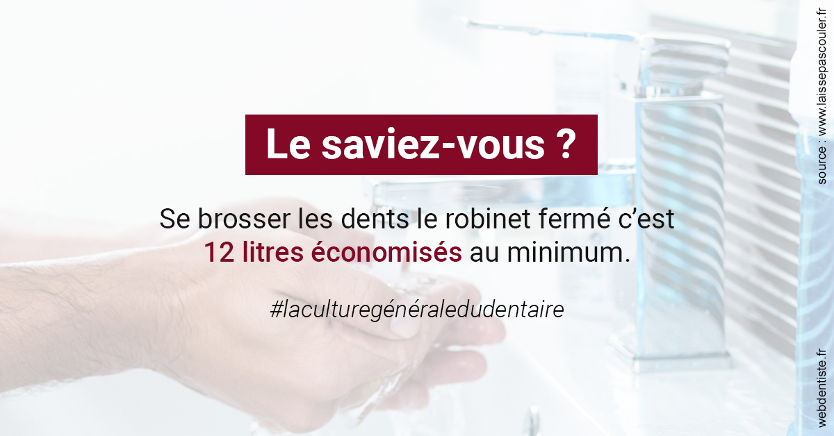 https://www.dentistes-bouaziz.fr/Economies d'eau 2