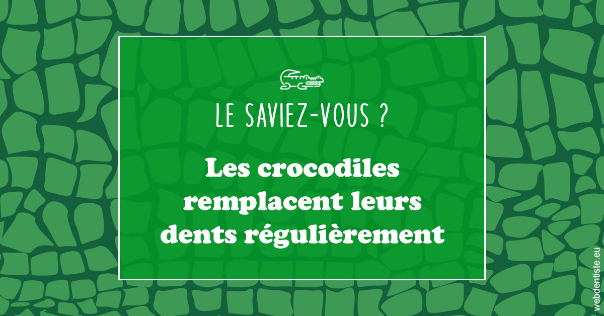 https://www.dentistes-bouaziz.fr/Crocodiles 1